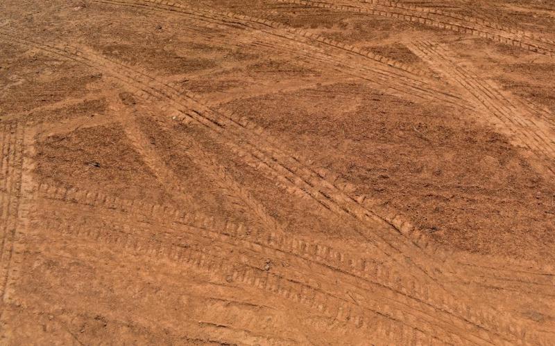 Traitement des taupes &agrave; Atton : solutions efficaces pour prot&eacute;ger votre jardin